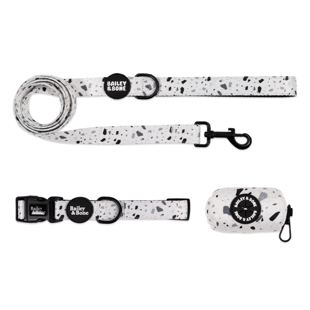 Black And White Terrazzo Collar And Lead Bundle