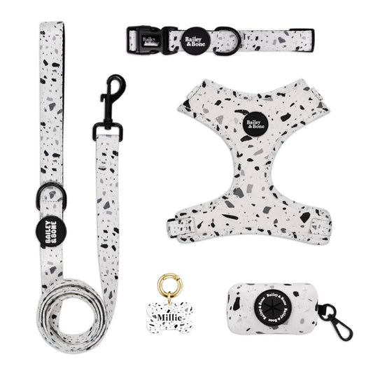 Black And White Terrazzo Complete Bundle