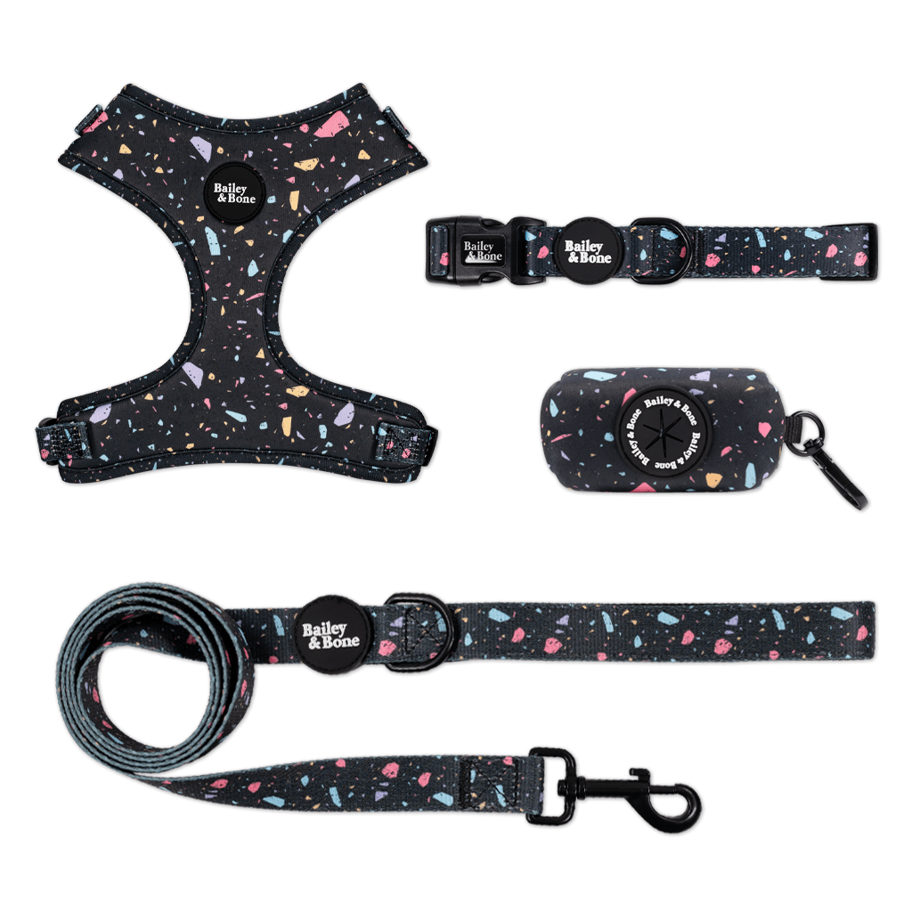 Black Pastel Terrazzo Bailey Bundle