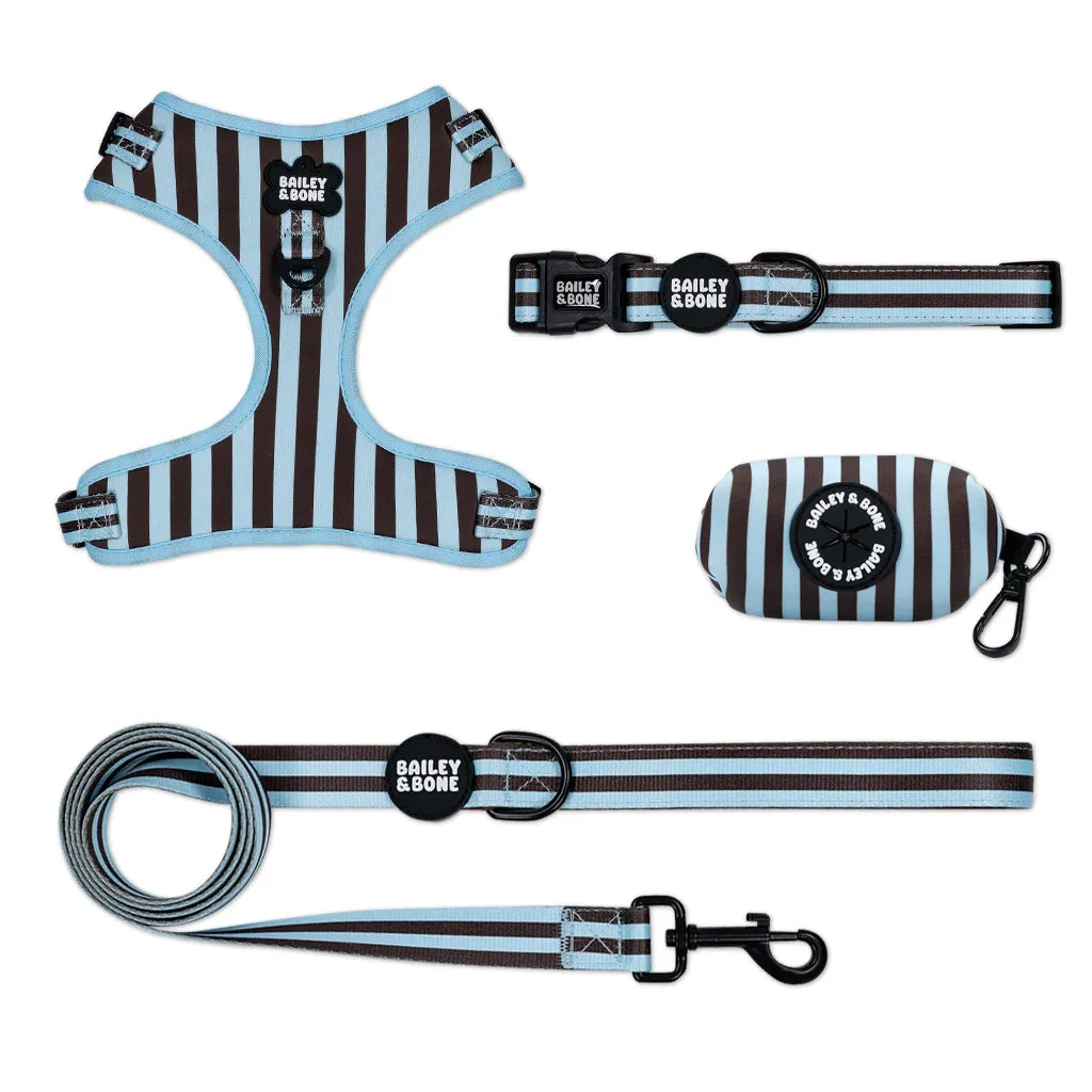 Blue and Brown Stripes Bailey Bundle