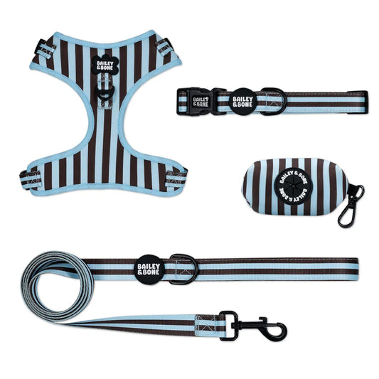 Blue and Brown Stripes Bailey Bundle
