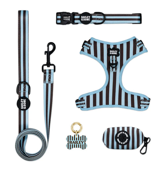 Blue and Brown Stripes Complete Bundle