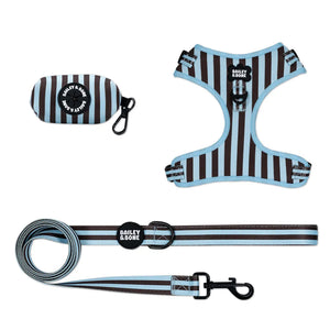 Blue and Brown Stripes Harness Bundle