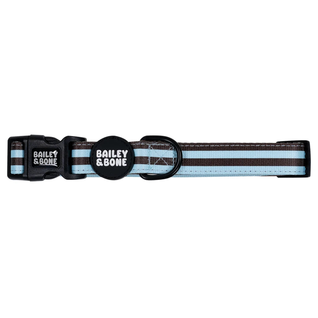 Blue and Brown Stripes Collar Bundle