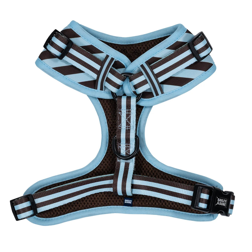 Blue and Brown Stripes Bailey Bundle