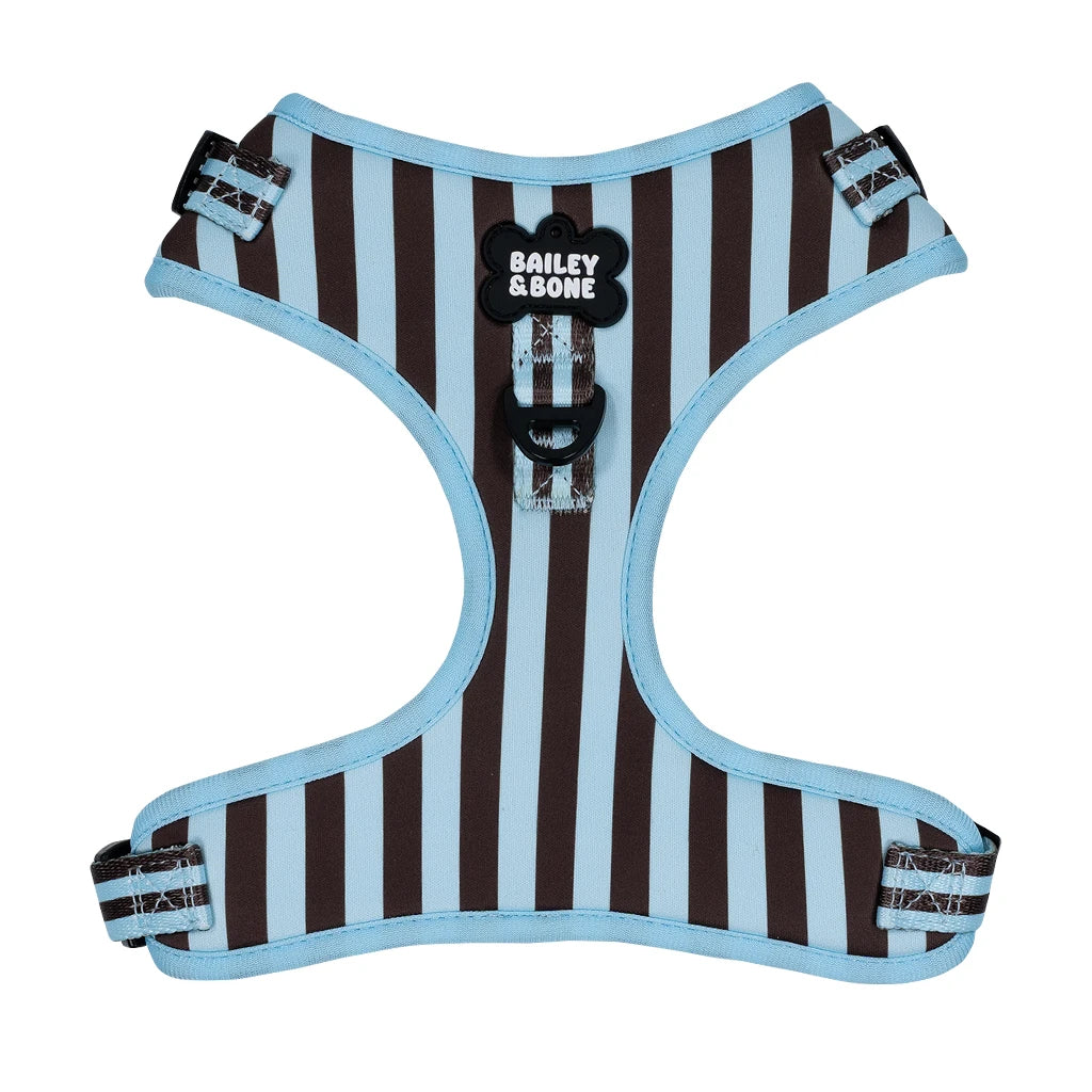 Blue and Brown Stripes Dog Harness