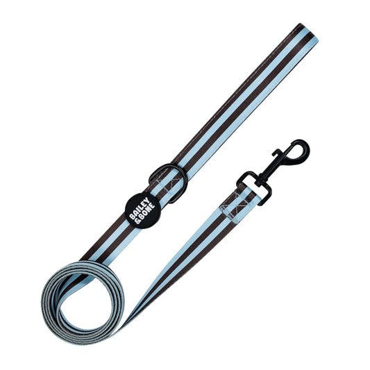 Blue and Brown Stripes Dog Lead