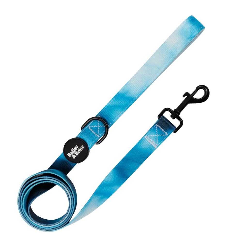 Blue Marble Tie Dye Collar And Lead Bundle – Bailey And Bone
