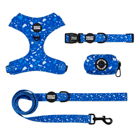 Blue Terrazzo Bailey Bundle