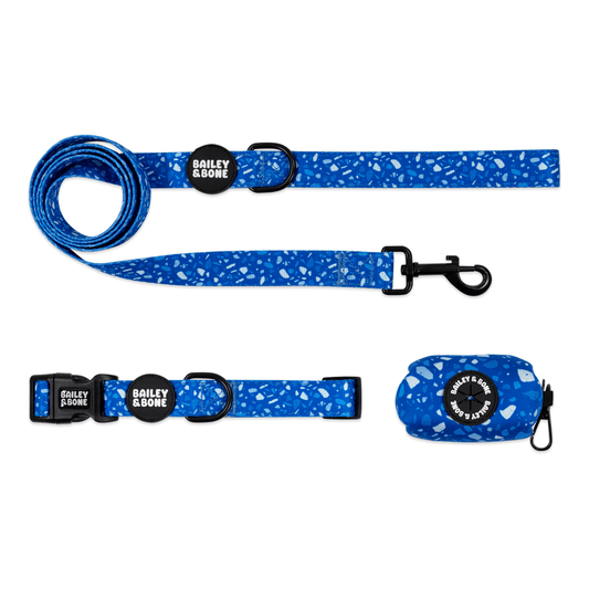 Blue Terrazzo Collar And Lead Bundle
