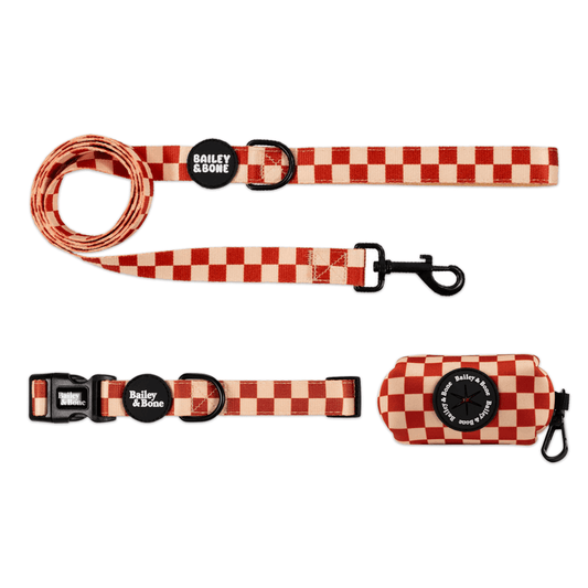 Brown And Beige Checkers Collar And Lead Bundle