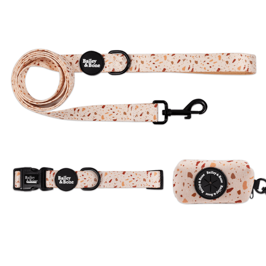 Brown And Beige Terrazzo Collar And Lead Bundle