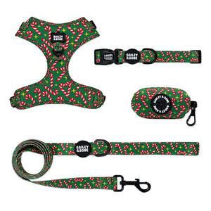 Candy Canes Bailey Bundle