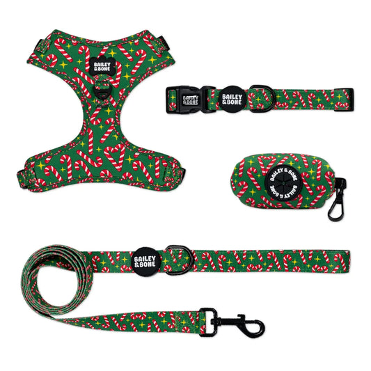 Candy Canes Bailey Bundle