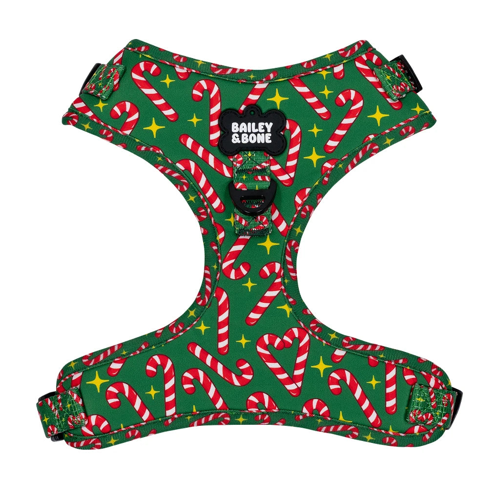 Candy Canes Bailey Bundle