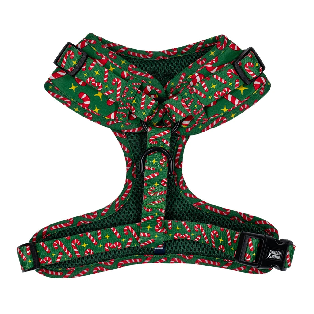 Candy Canes Dog Harness