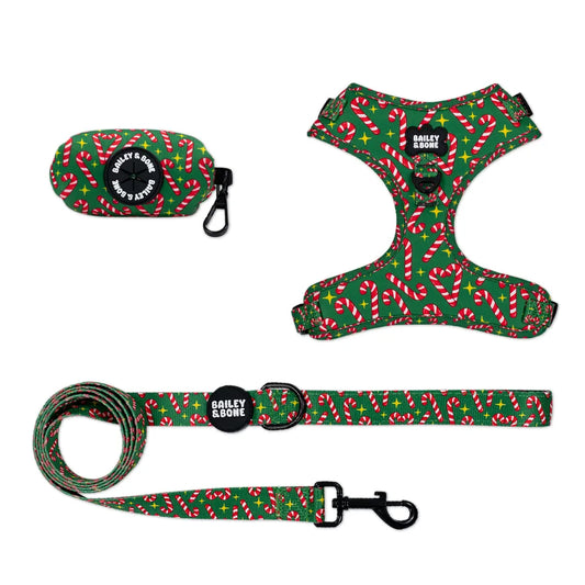 Candy Canes Harness Bundle