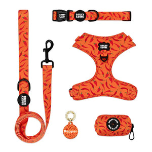 Chilli Pepper Complete Bundle