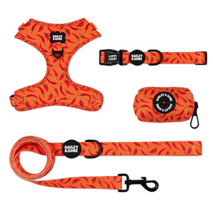 Chilli Pepper Bailey Bundle