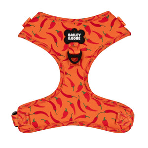 Chilli Pepper Bailey Bundle
