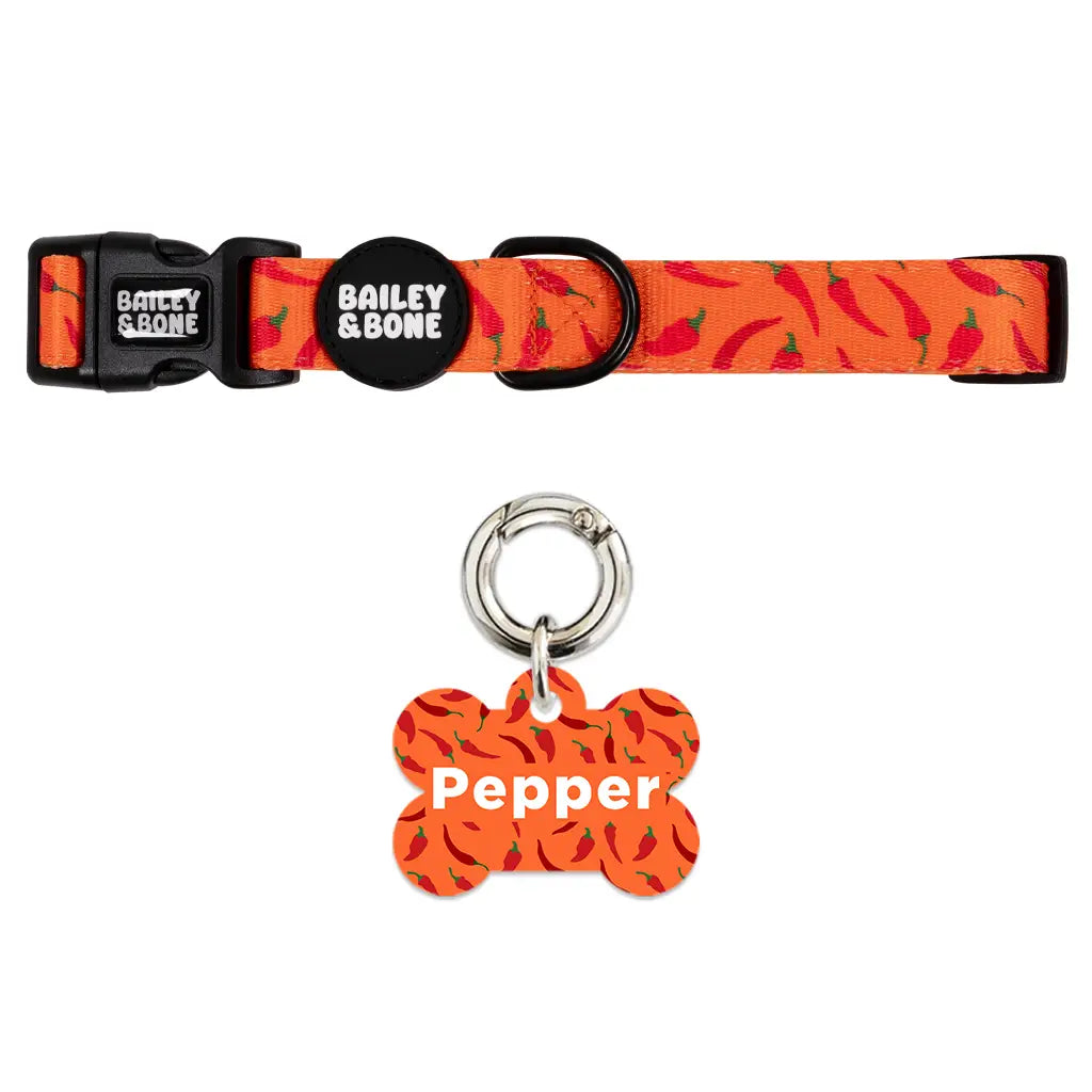 Chilli Pepper Pet Tag And Collar Bundle