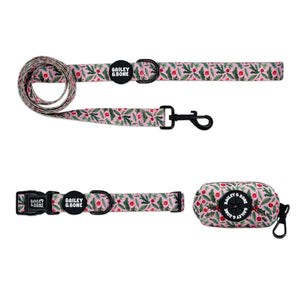 Christmas Holly Collar Bundle