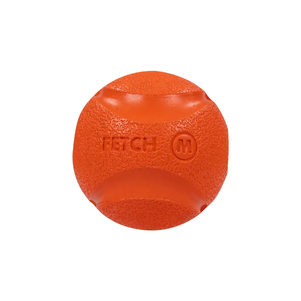Chuckit! Fetch Ball Medium 6cm - 2pk
