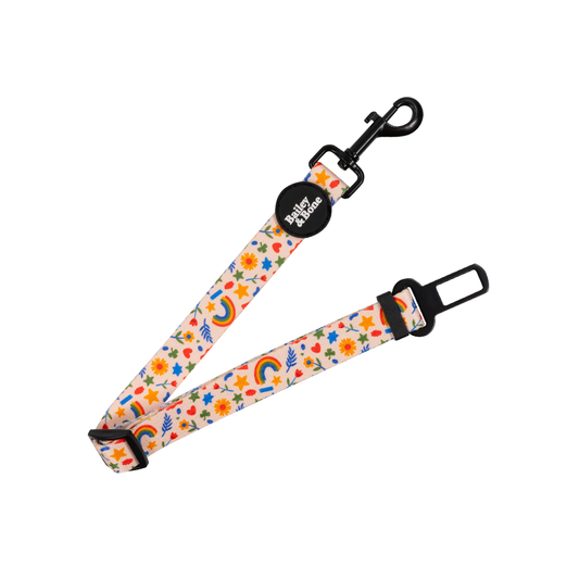 Cute Summer Shapes Dog Car Restraint