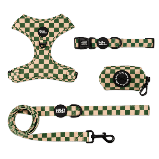 Green And Beige Checkers Bailey Bundle