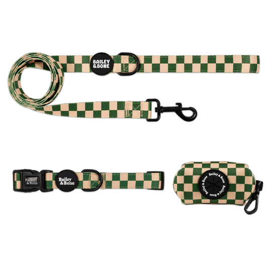Green And Beige Checkers Collar And Lead Bundle