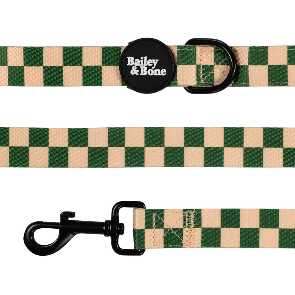 Green And Beige Checkers Lead