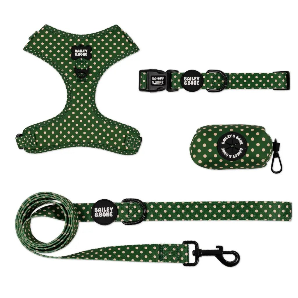 Green And Beige Polka Dots Bailey Bundle