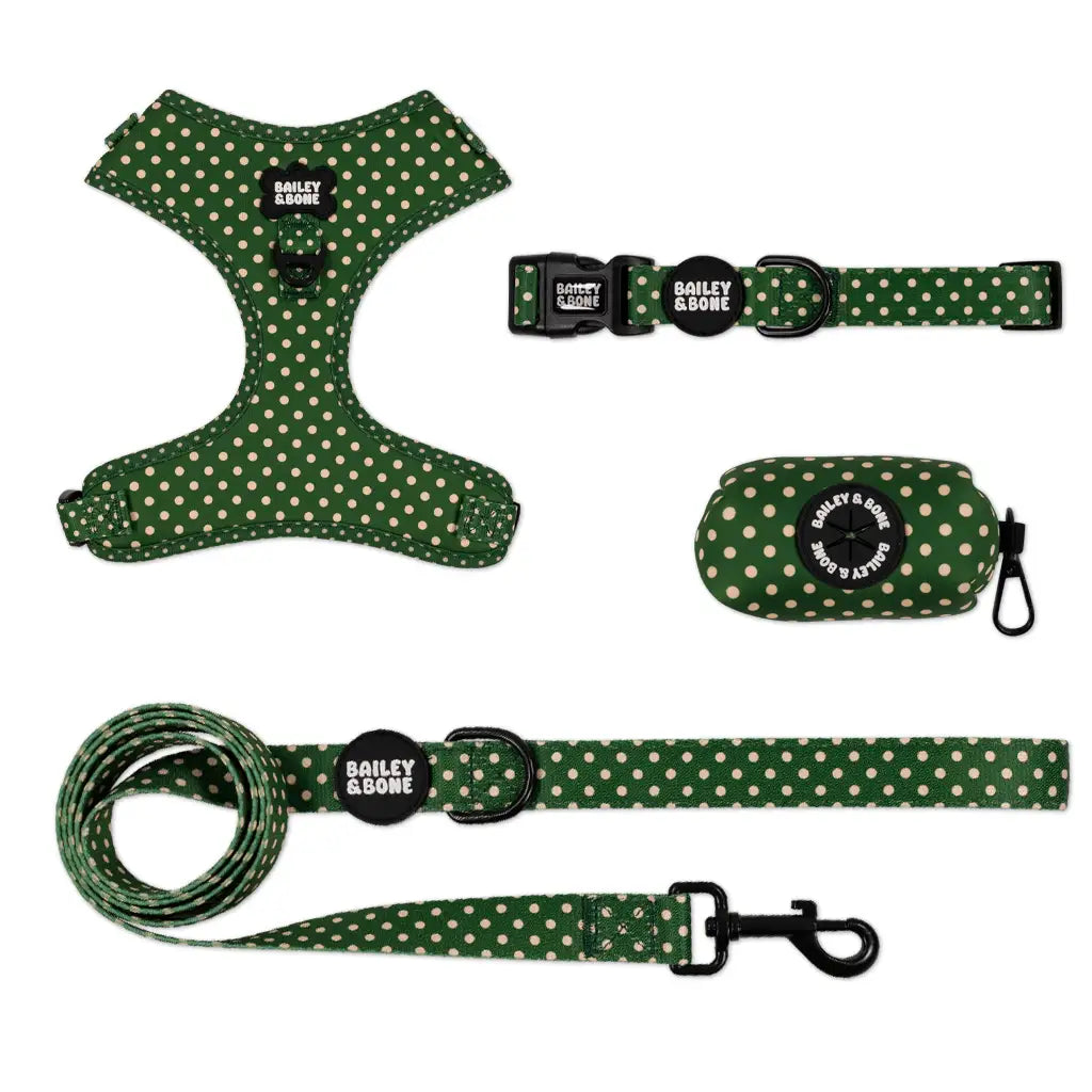 Green And Beige Polka Dots Bailey Bundle