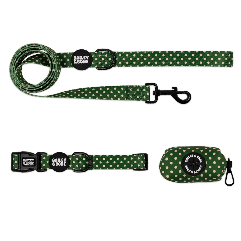 Green And Beige Polka Dots Collar And Lead Bundle