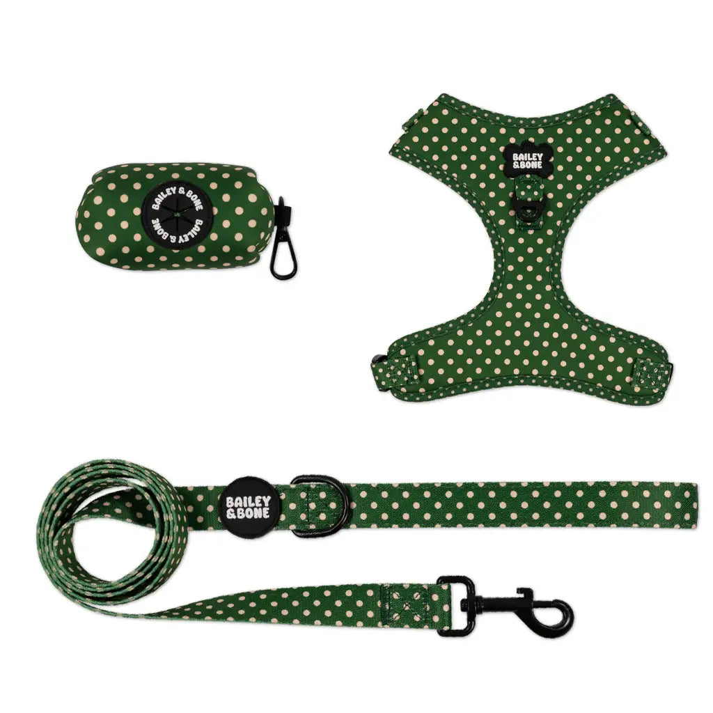 Green And Beige Polka Dots Harness Bundle