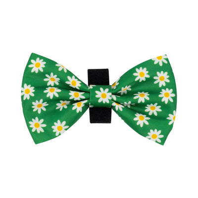 Green Daisy Pattern Bow Tie