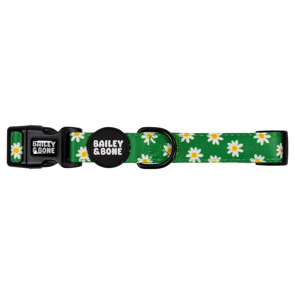 Green Daisy Pattern Dog Collar