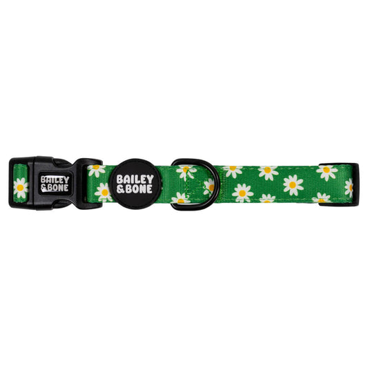 Green Daisy Pattern Dog Collar