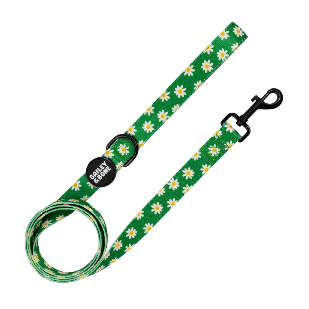 Green Daisy Pattern Lead