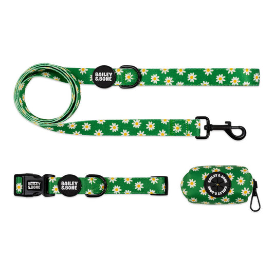 Green Daisy Pattern Collar And Lead Bundle