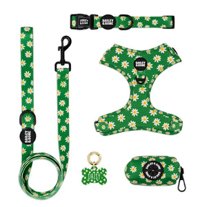 Green Daisy Pattern Complete Bundle