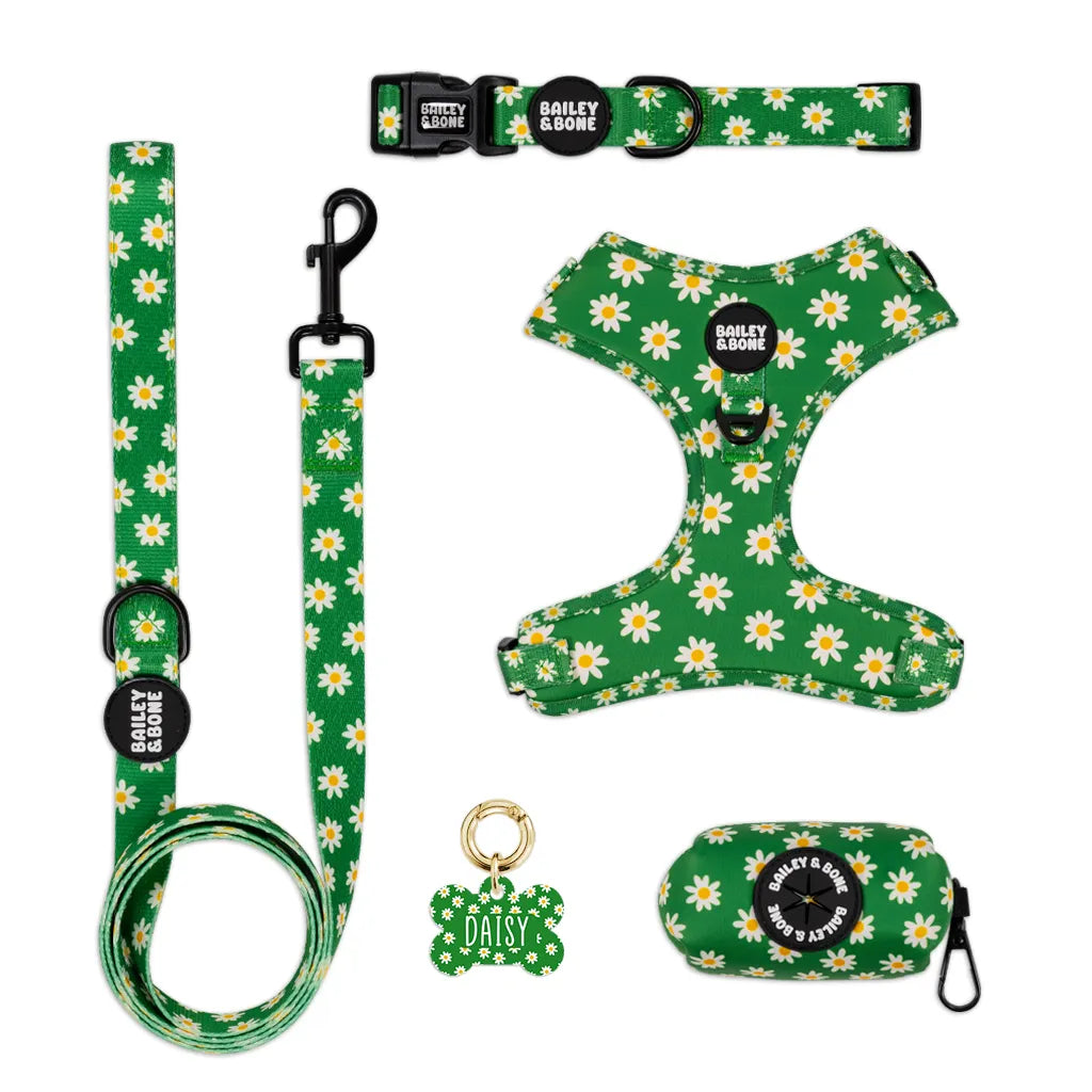 Green Daisy Pattern Complete Bundle