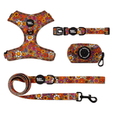Groovy Garden Bailey Bundle