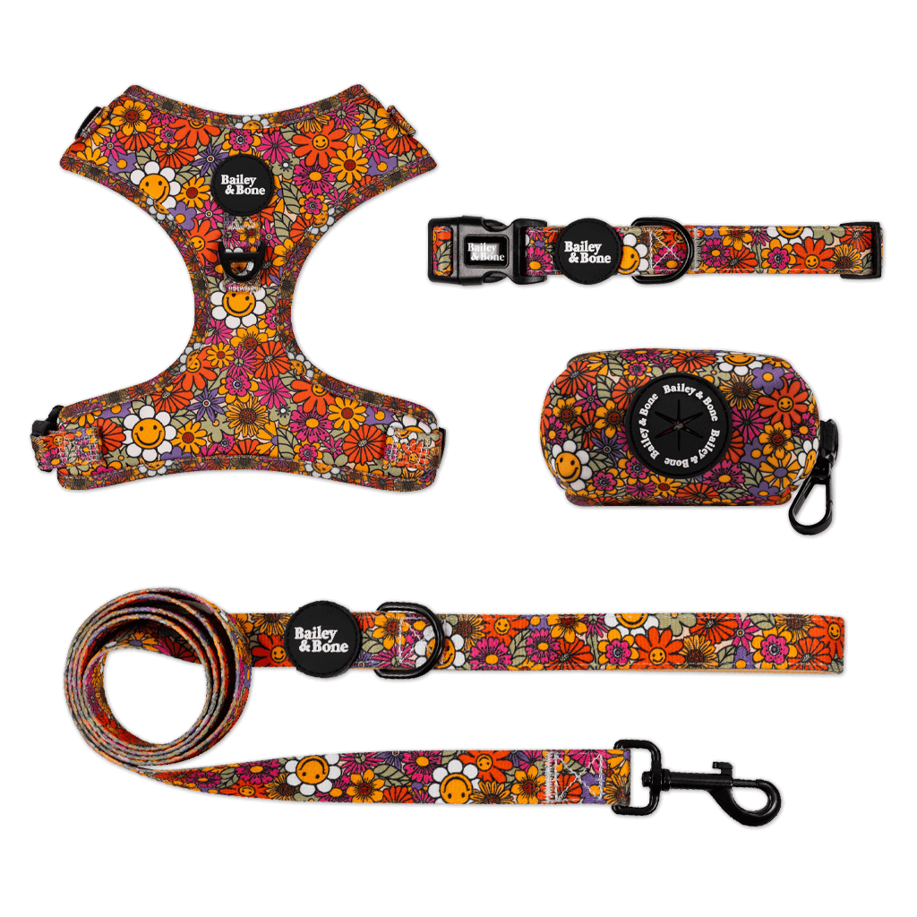 Groovy Garden Bailey Bundle