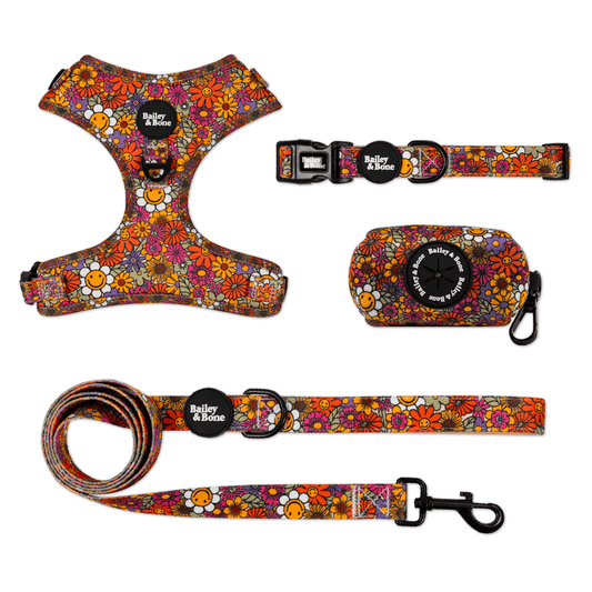 Groovy Garden Bailey Bundle