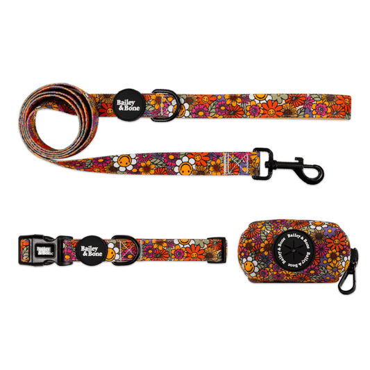 Groovy Garden Collar And Lead Bundle