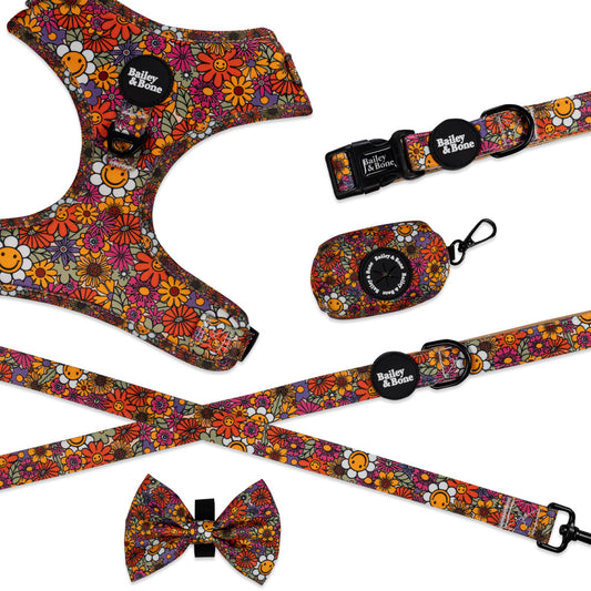 Groovy Garden Walk Set