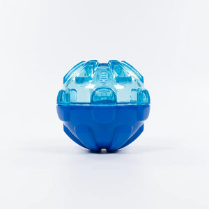 Kong Rewards Ball
