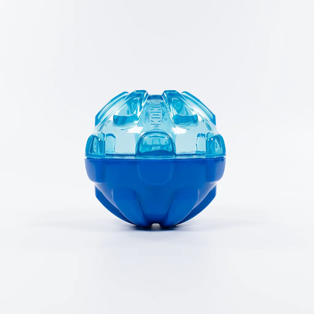 Kong Rewards Ball