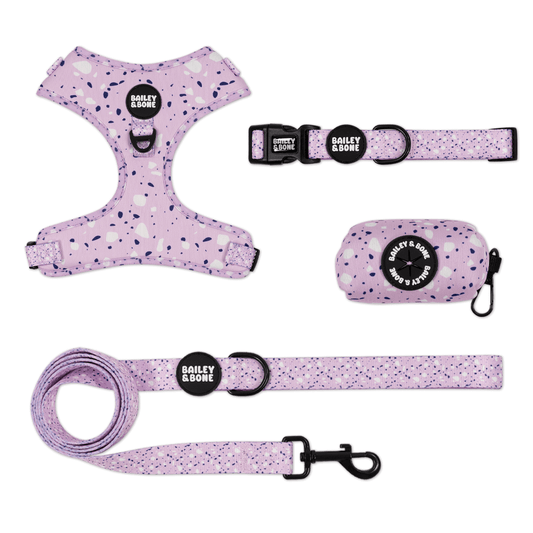 Lavender Terrazzo Bailey Bundle